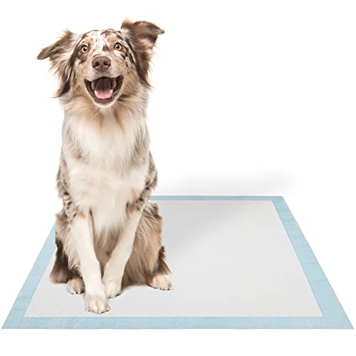 Best Pet Supplies Disposable Puppy Pads for Whelping Puppies and Training Dogs Ultra Absorbent, Leak Resistant, and Track Free for Indoor Pets, Floor Protection