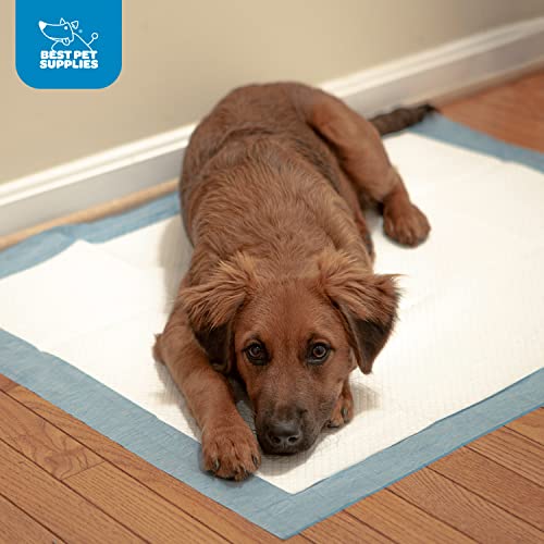 Best Pet Supplies Disposable Puppy Pads for Whelping Puppies and Training Dogs Ultra Absorbent, Leak Resistant, and Track Free for Indoor Pets, Floor Protection