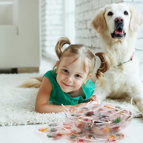 Assorted Fruit Flavored Lollipops - Suckers & Lollipops for Snacking and Sharing - Individually Wrapped Easter Treats for Candy Bowls, Desert Tables, Parties and More